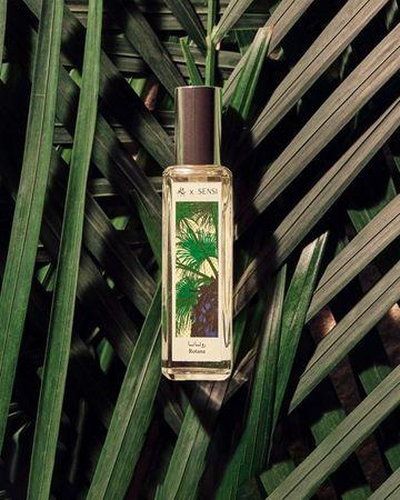 جاد عطر (روتانا) مجموعة حكايات سعودية او دو بيرفيوم - 30 مل